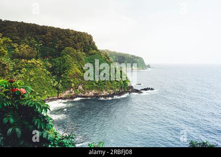 Cliffs covered in jungle vegetation on the Shore of Maui Stock Photo
