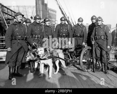 New York, New York:  April 15, 1919 Belgian soldiers who have arrived in the U.S. to help in putting the Victory Loan 'over the top'. All of the soldiers were at the Defense of Liege battle in the early days of the war. With them are two Belgian dogs which were used to haul small field pieces, carry messages, and to locate wounded soldiers. Stock Photo