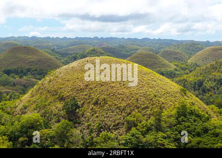 A picturesque group of the famous Chocolate Hills. This cluster is found at the border of Sagbayan and Carmen. Tourist attractions in Bohol, Philippin Stock Photo