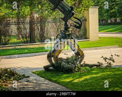 Grapple hook on crane picking up logs -storm debris in upscale neighborhood Stock Photo