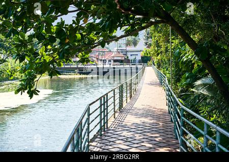 Brick pedestrian bridge on river in tropical island. scenic road under green mangrove trees Stock Photo