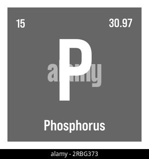 Phosphorus, P, periodic table element with name, symbol, atomic number and weight. Non-metal with various industrial uses, such as in fertilizer, detergents, and as a component of certain types of explosives. Stock Vector