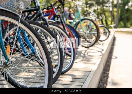 Three Rental Bicycles Of Bike Sharing Companies Rekola And, 44% OFF