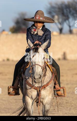 A young Mexican Charro rounds up a herd of horses running through a field on a Mexican Ranch at sunrise Stock Photo