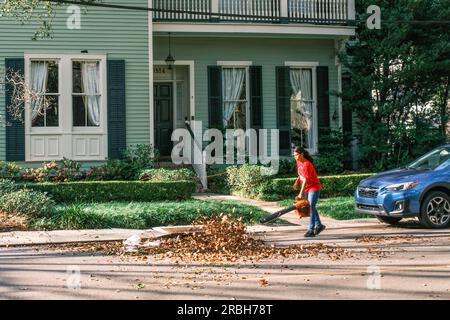 NEW ORLEANS, LA, USA - JANUARY 12, 2023: Woman wrangles leaves with a leaf blower on the street in front of an Uptown home Stock Photo