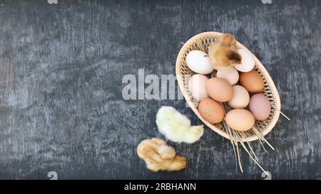 White and red brown eggs of domestic hens in basket and three small brown and yellow chicken chicks on old wooden texture background. Natural eggs. Co Stock Photo