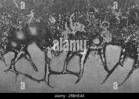 Black and white photo of dried moss stains clinging to the wall. Looks like a work of art. Stock Photo