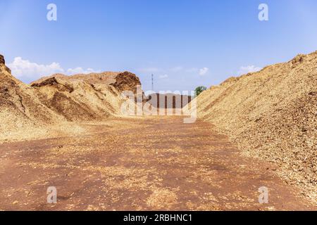 Wood chips pile in a storage place Stock Photo