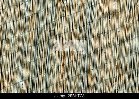 Dry reed fencing material as background Stock Photo
