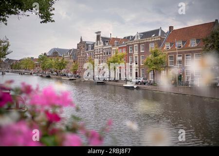 historical houses at canal of Leiden, province Zuid-Holland, Netherlands, Europe Stock Photo
