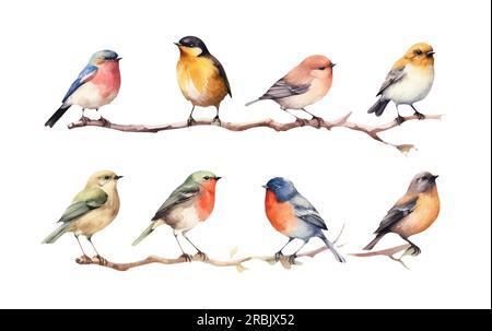 watercolor set vector illustraton of bird on a branch isolated on white background Stock Vector