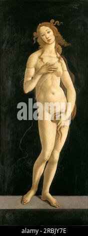 Venus pudica hi-res stock photography and images - Alamy