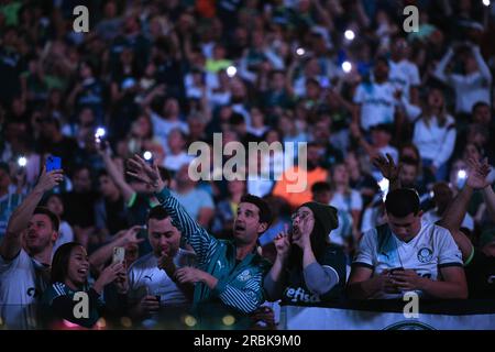 Sao Paulo, Brazil. 08th July, 2023. SP - SAO PAULO - 07/08/2023 - BRAZILEIRO A 2023, PALMEIRAS X FLAMENGO - Palmeiras fans during a match against Flamengo at Arena Allianz Parque stadium for the Brazilian championship A 2023. Photo: Ettore Chiereguini/AGIF/Sipa USA Credit: Sipa USA/Alamy Live News Stock Photo