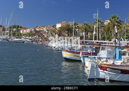 Palm trees and houses on the Quai Charles de Gaulle, Bandol, Var, Provence-Alpes-Côte d'Azur, France Stock Photo