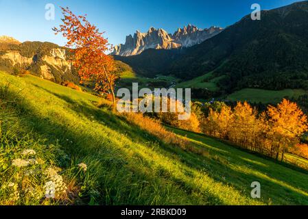 Autumnal sunset on Santa Maddalena and the Odle, Funes, South Tyrol Stock Photo