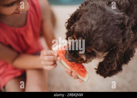 Girl holding watermelon for dog Stock Photo