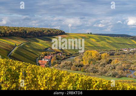 View from the vineyards near Neuses am Berg to the Volkacher Mainschleife and the wine villages of Escherndorf and Nordheim am Main on the Weininsel a Stock Photo