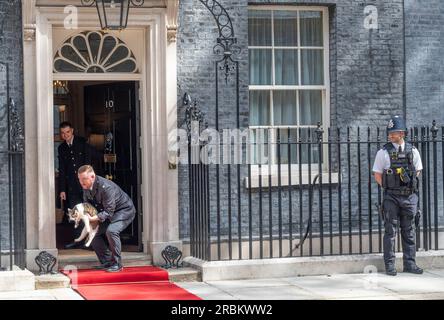 London, UK. 10th July, 2023. US President Joe Biden visits British Prime Minister Rishi Sunak for a 40 minute meeting in 10 Downing Street. Larry the Downing Street Cat is removed from the red carpet shortly before his arrival. Credit: Phil Robinson/Alamy Live News Stock Photo