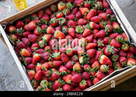 Strawberries at a stall in the central fruit and vegetable market in Arequipa, Peru. Stock Photo