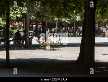 Jardin des Tuileries. Treelined avenues in 17th century Tuileries Garden give shade on sunny day for sunbathers. Place de la Concorde, 1 Arr Paris. Stock Photo