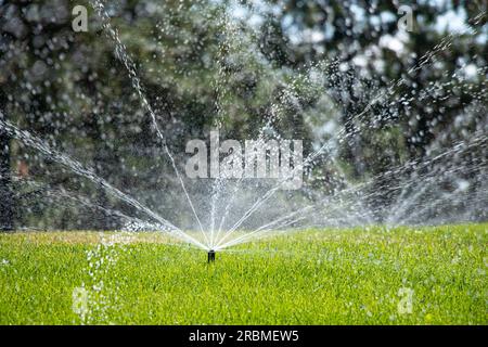 Watering the lawn in the park in the summer in the sun in Ukraine, green grass Stock Photo
