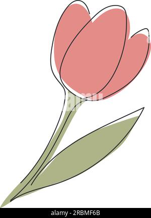Minimalist Contour Tulip Flower Drawing One Line Art Color Stock Vector by  ©knstart 240119580
