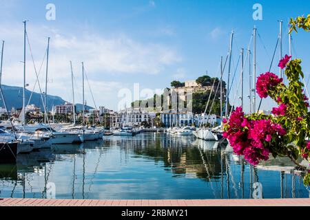 Denia, with port, castle, in spring, Spain Stock Photo