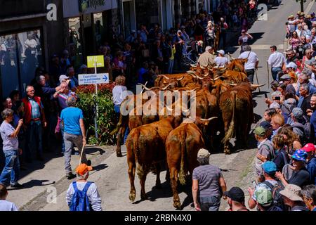 France, Cantal, Allanche, Regional Natural Park of the Volcanoes of Auvergne, Cézallier plateau, Estive festival Stock Photo