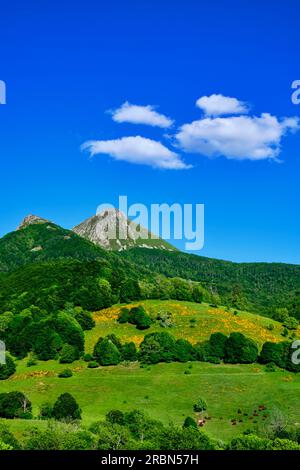 France, Cantal, Auvergne Volcanoes regional natural park, Cantal mountains, Mandailles valley and Puy Griou at an altitude of 1690m Stock Photo