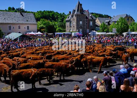 France, Cantal, Allanche, Regional Natural Park of the Volcanoes of Auvergne, Cézallier plateau, Estive festival Stock Photo