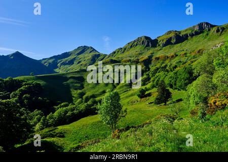 France, Cantal, regional natural park of the Volcanoes of Auvergne ...