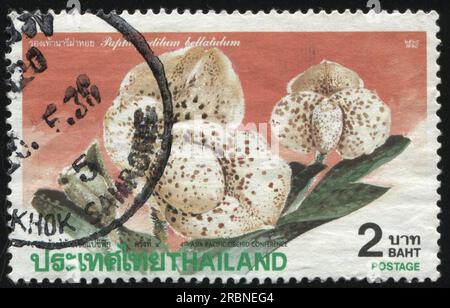 RUSSIA KALININGRAD, 31 MAY 2016: stamp printed by Thailand shows flower, circa 1992 Stock Photo