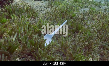 Closeup of disposable plastic spoon lies on green sea grass. Disposable plastic tableware pollute seabed covered with green algae in sunbeams. Plastic Stock Photo