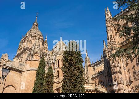 Salamanca Old and New Cathedral Towers - Salamanca, Spain Stock Photo