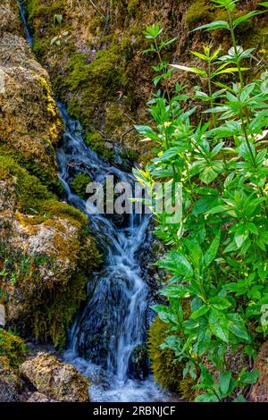 Waterfall running into the River Derwent at Matlock Bath a popular village in the Derbyshire Peak District England UK Stock Photo