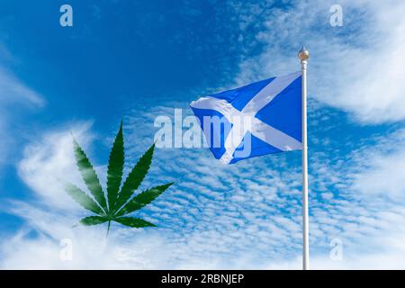 Cannabis leaf and flag of Scotland. Decriminalise drugs concept Stock ...