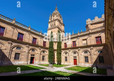Old Cathedral of Salamanca Cloister - Salamanca, Spain Stock Photo