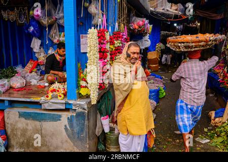 Inde, Bengale Occidental, Calcutta (Kolkata), le marche aux fleurs de Mullik Ghat // India, West Bengal, Kolkata, Calcutta, Mullick Ghat flower market Stock Photo