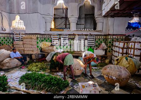 Inde, Bengale Occidental, Calcutta (Kolkata), le marche aux fleurs de Mullik Ghat // India, West Bengal, Kolkata, Calcutta, Mullick Ghat flower market Stock Photo
