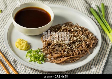 Homemade Buckwheat Japanese Dipping Soba Noodles with Soy Sauce Stock Photo