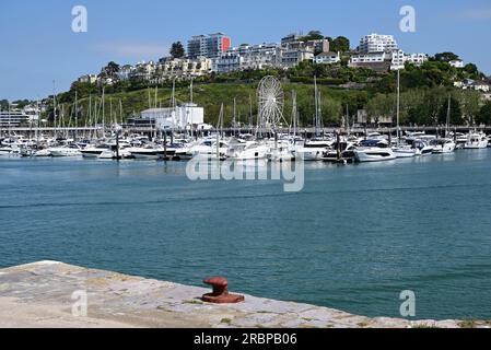 Boats moored in Torquay harbour, South Devon, as seen from Haldon pier. Stock Photo