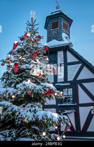 Old town hall of Engenhahn with Christmas tree, Niedernhausen, Hesse, Germany Stock Photo