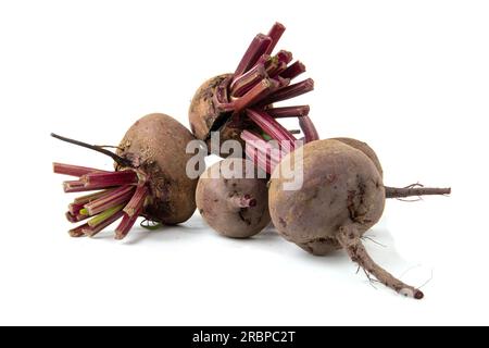 Red beetroot isolated on white. Stock Photo