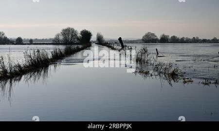 Godney near Glastonbury Somerset England.  Flooded Fields January 2023 Stock Photo