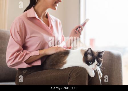 Unrecognizable Young Woman Holding Cat Using Smartphone At Cozy Home Stock Photo