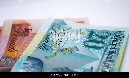 Egyptian banknote, Plastic New Egyptian Pound, Stock Photo