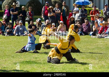 Traditional Chinese martial art, or kungfu, show during Chinese New Year in early Spring Stock Photo