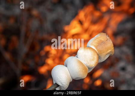 Marshmallow cooked on the fire. Marshmallow bbq. Stock Photo