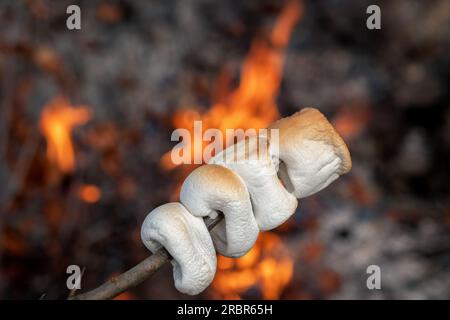 Marshmallow cooked on the fire. Marshmallow bbq. Stock Photo