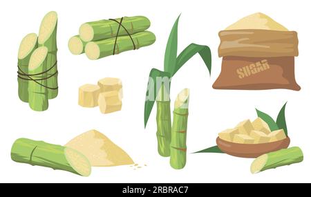 Sugarcane and sugar set Stock Vector